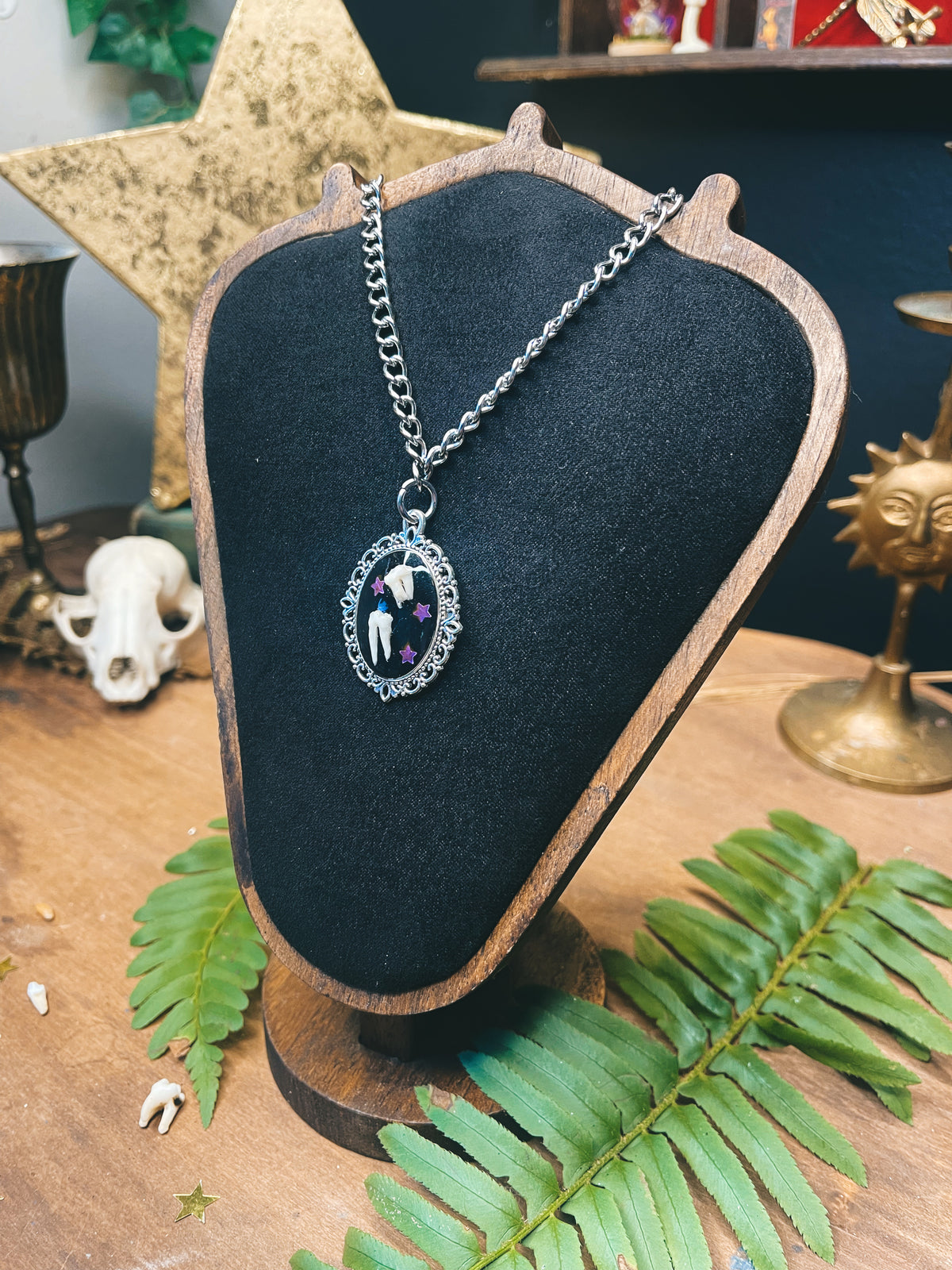 Star Possum Tooth - Silver - Oddity Necklace