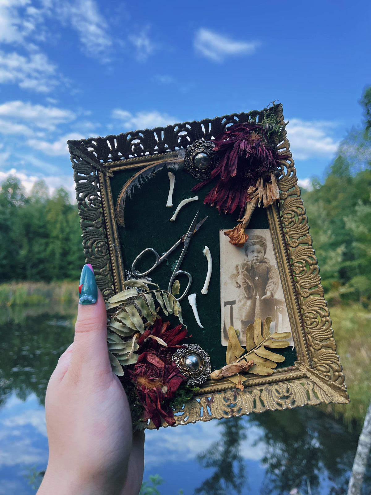 The Apprentice - Oddity Frame