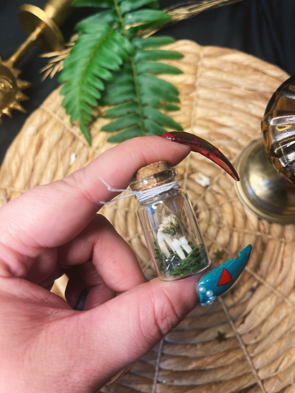 Tooth - Medium Oddity Jar