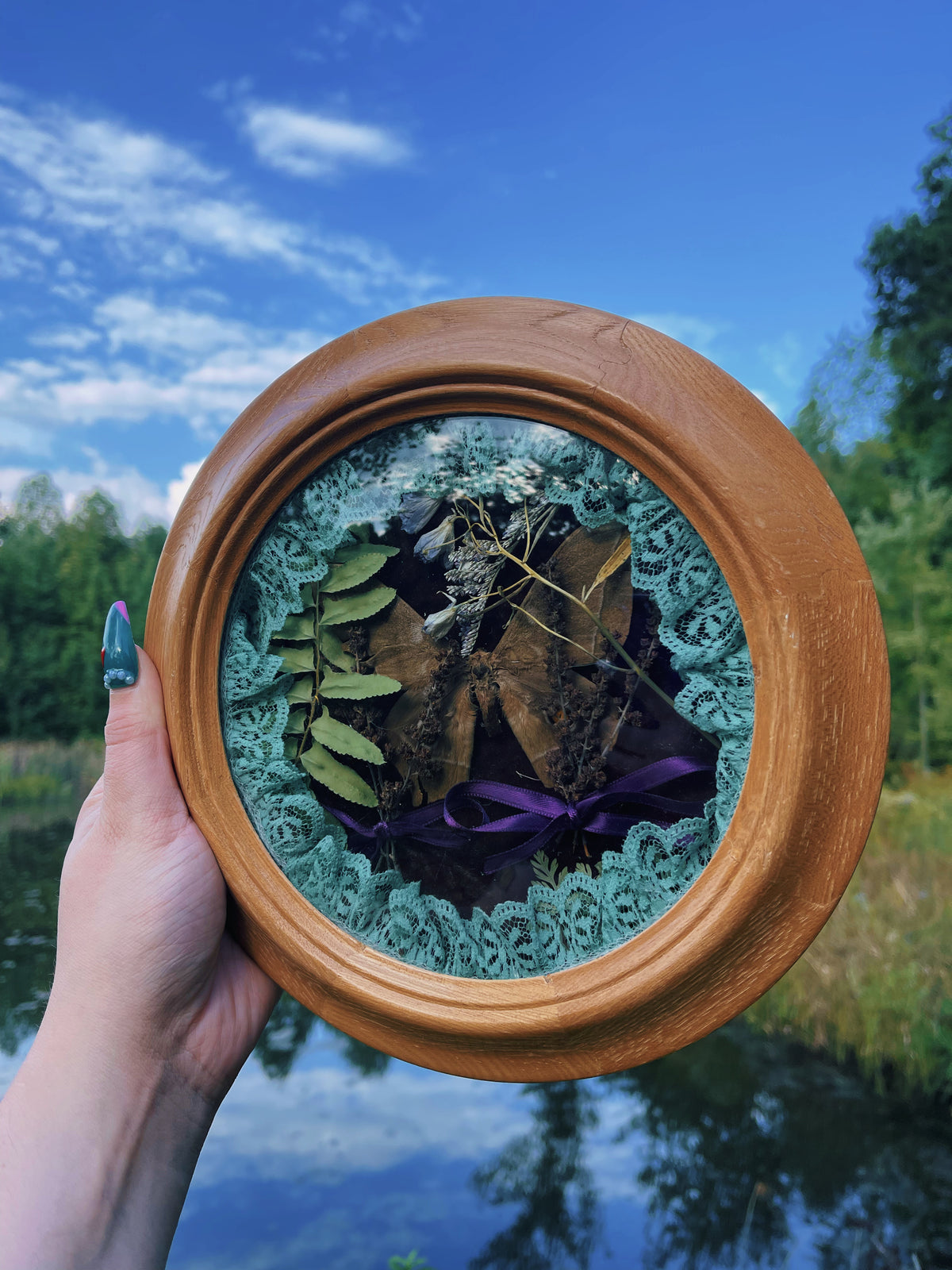 Cottage Moth - Oddity Frame