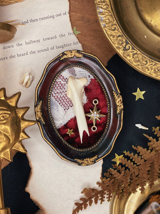 Velvet Star - Oddity Mini Frame