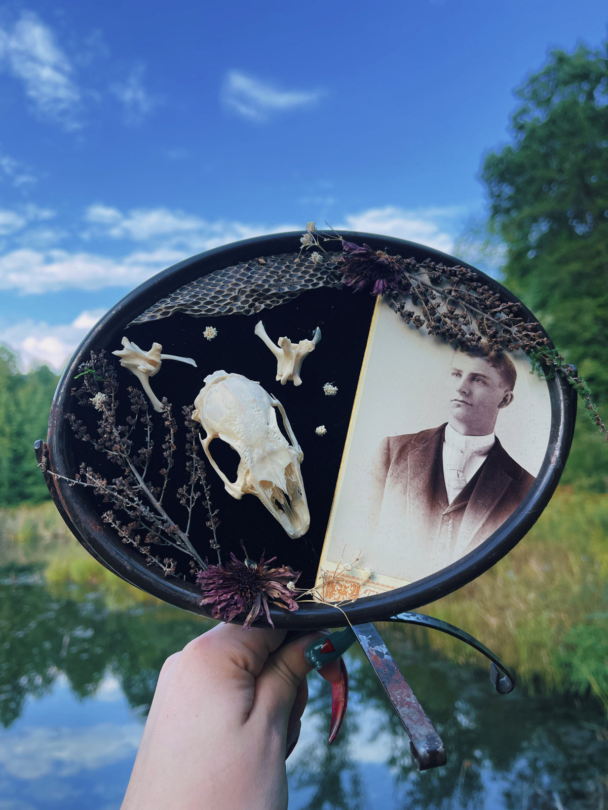 Willoughby Tucker - Oddity Frame