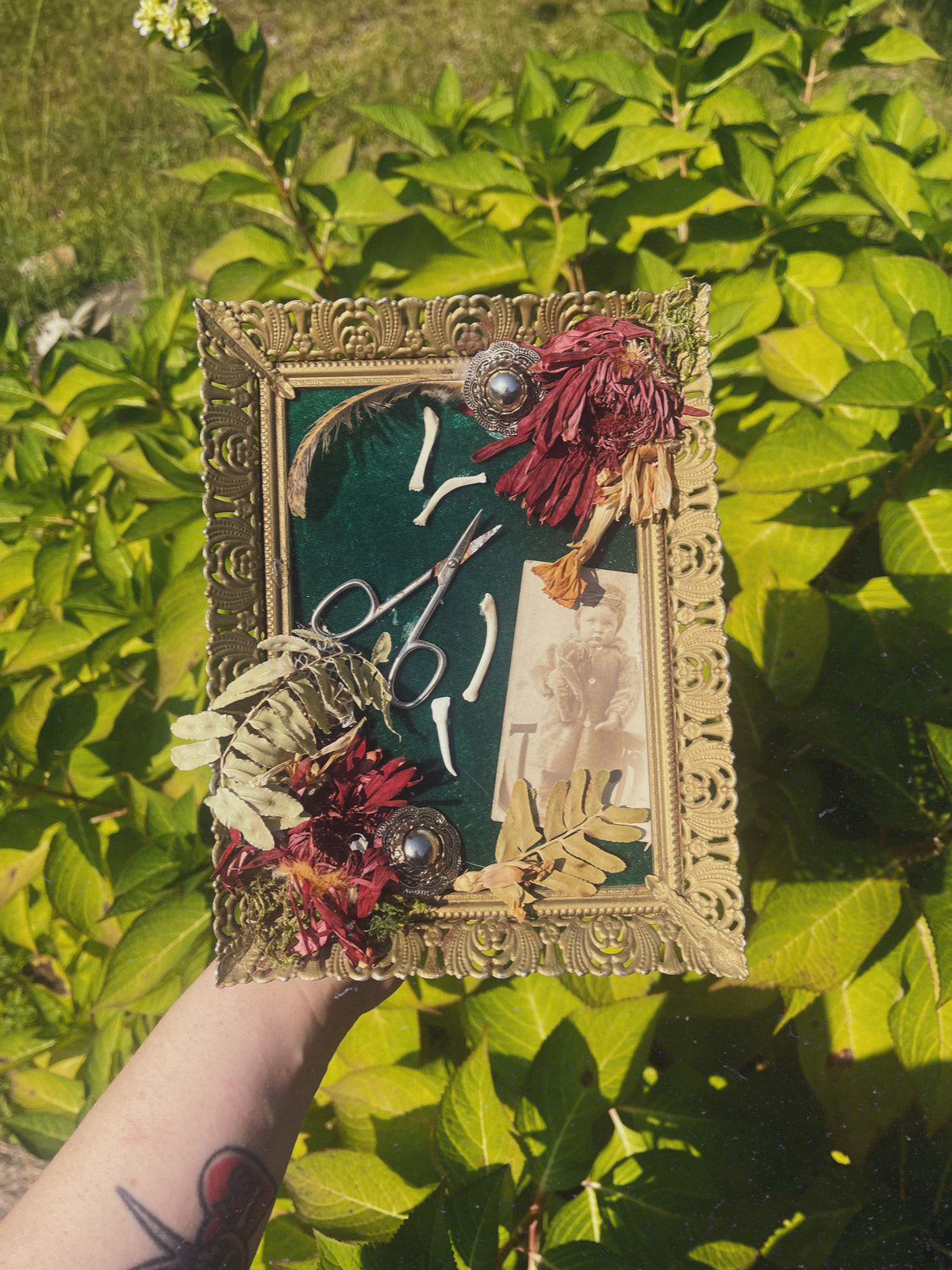 The Apprentice - Oddity Frame