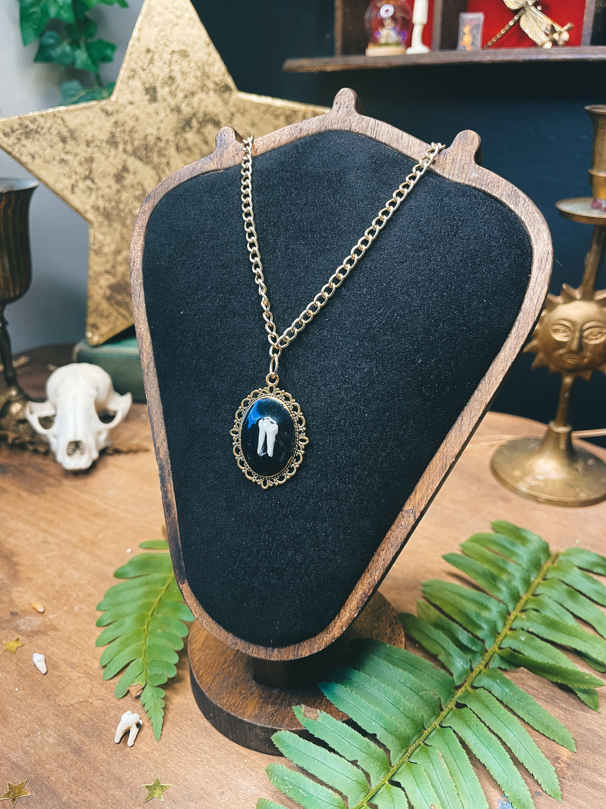Possum Tooth - Gold - Oddity Necklace