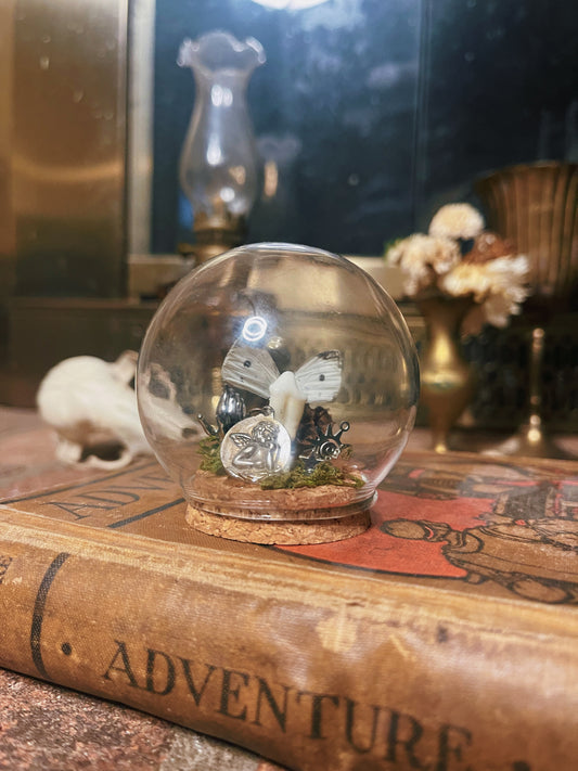 Collector Tooth Fairy - Oddity Dome