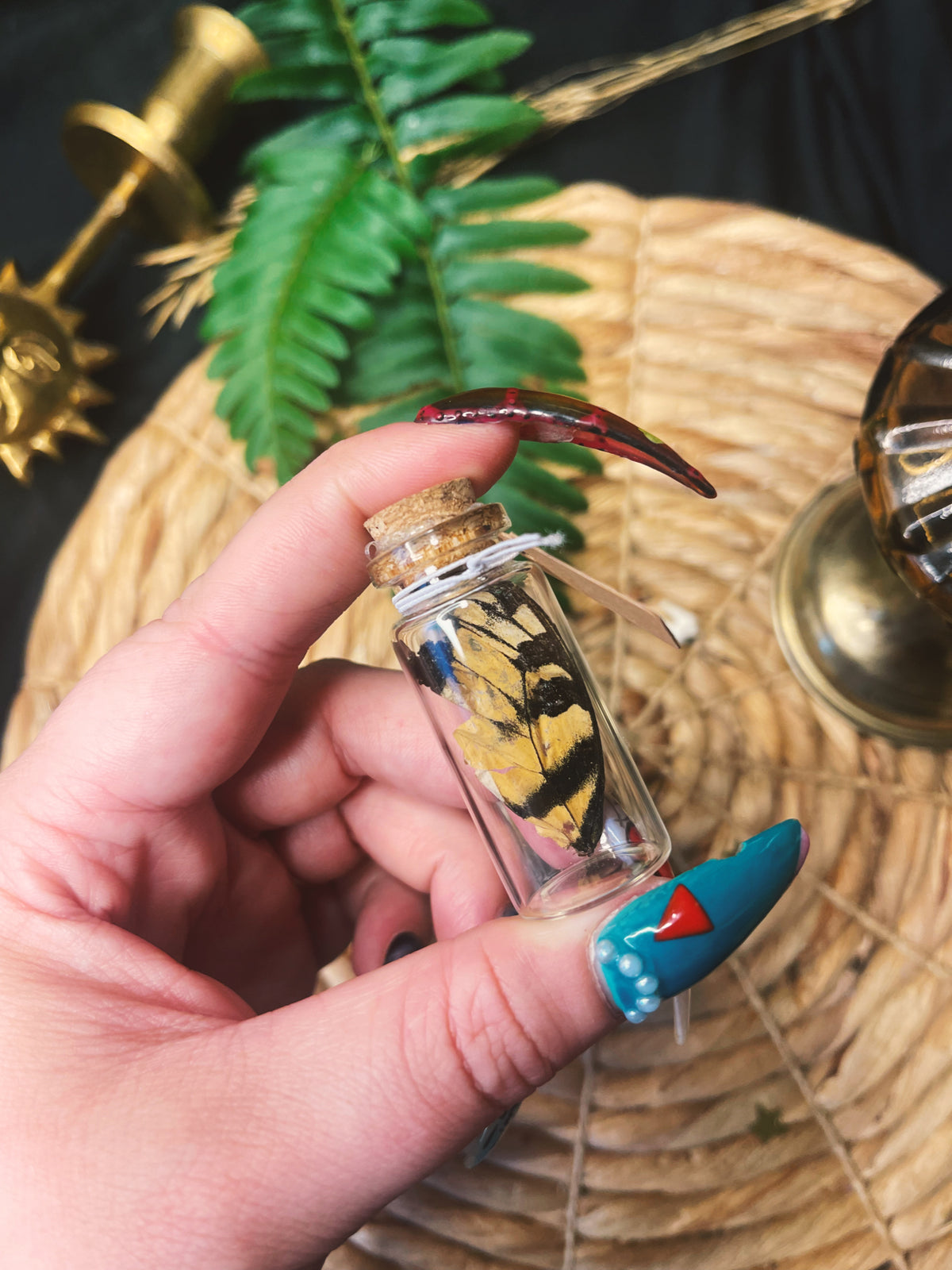 Swallowtail - Large Oddity Jar