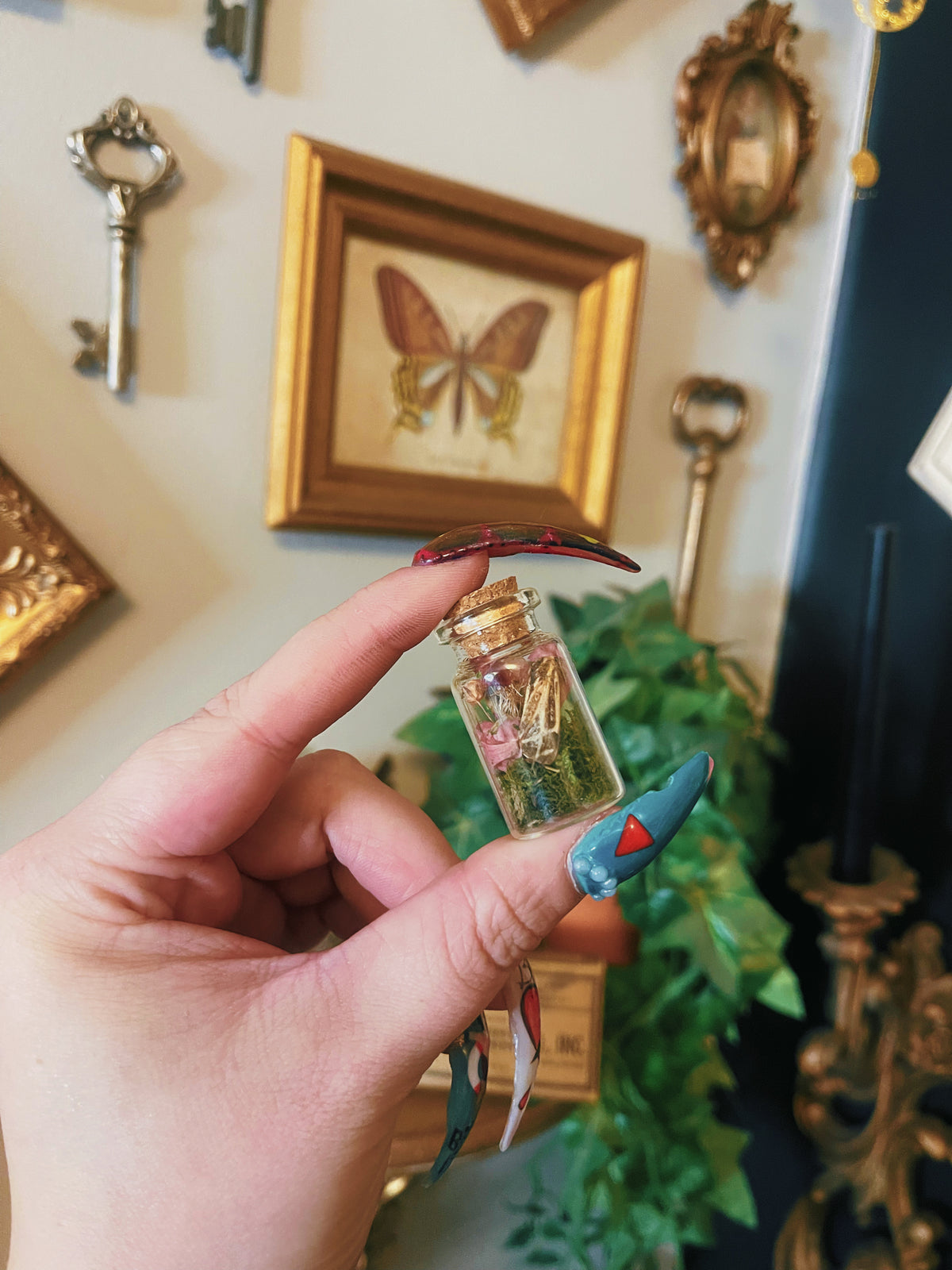 Stripped Moth - Medium Oddity Jar