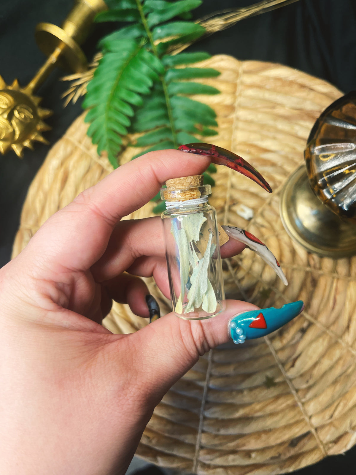Luna Moth Tails - Large Oddity Jar