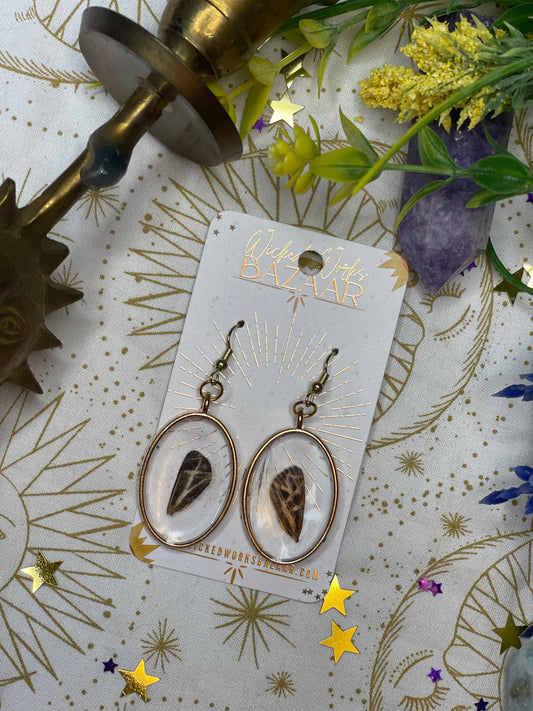 Wings - Resin Dangle Earrings