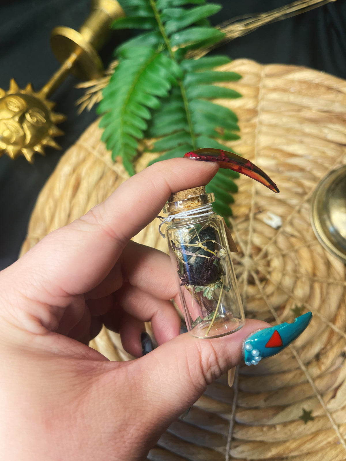 Beetle - Large Oddity Jar