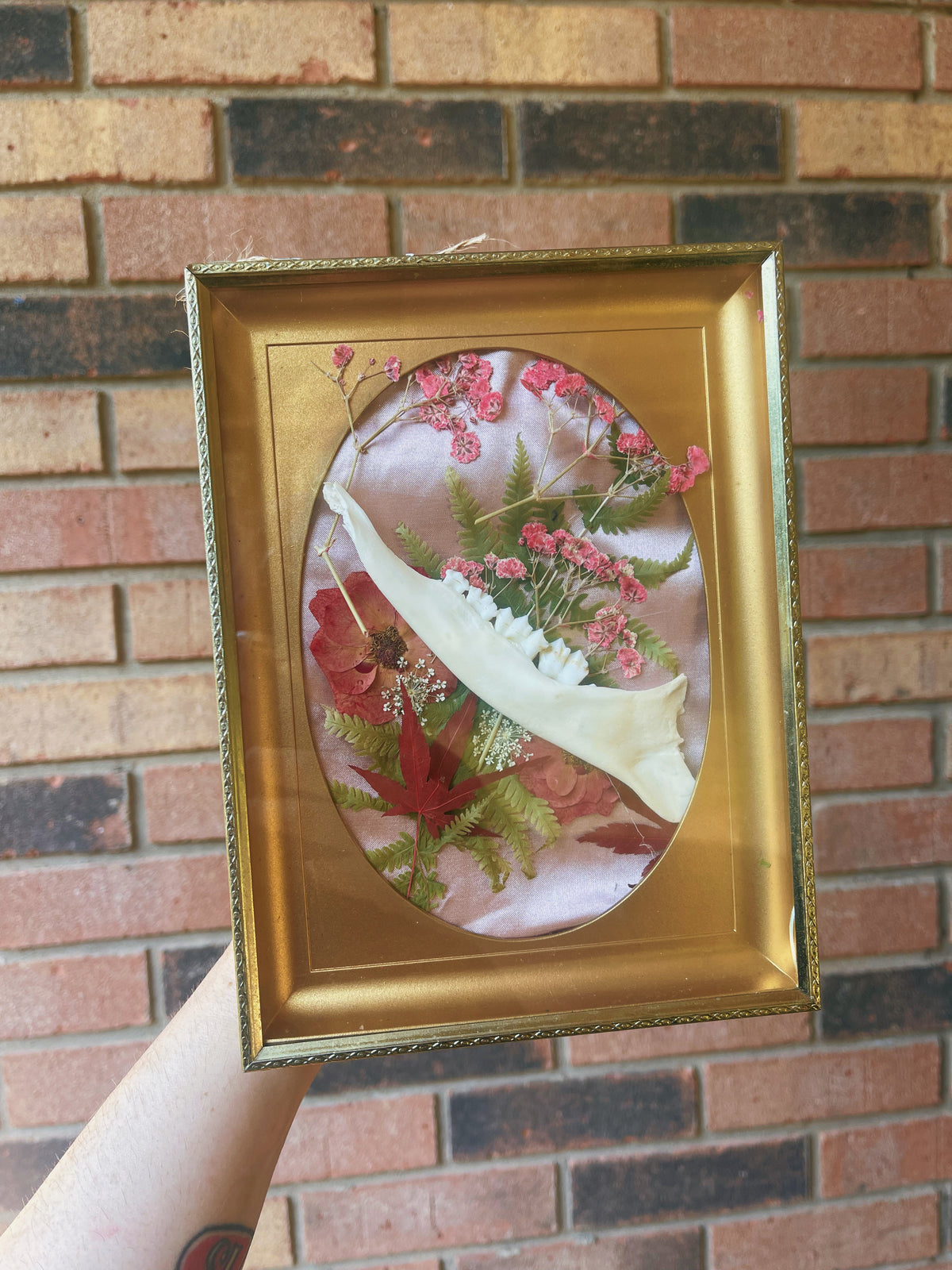 Mandible - Oddity Frame