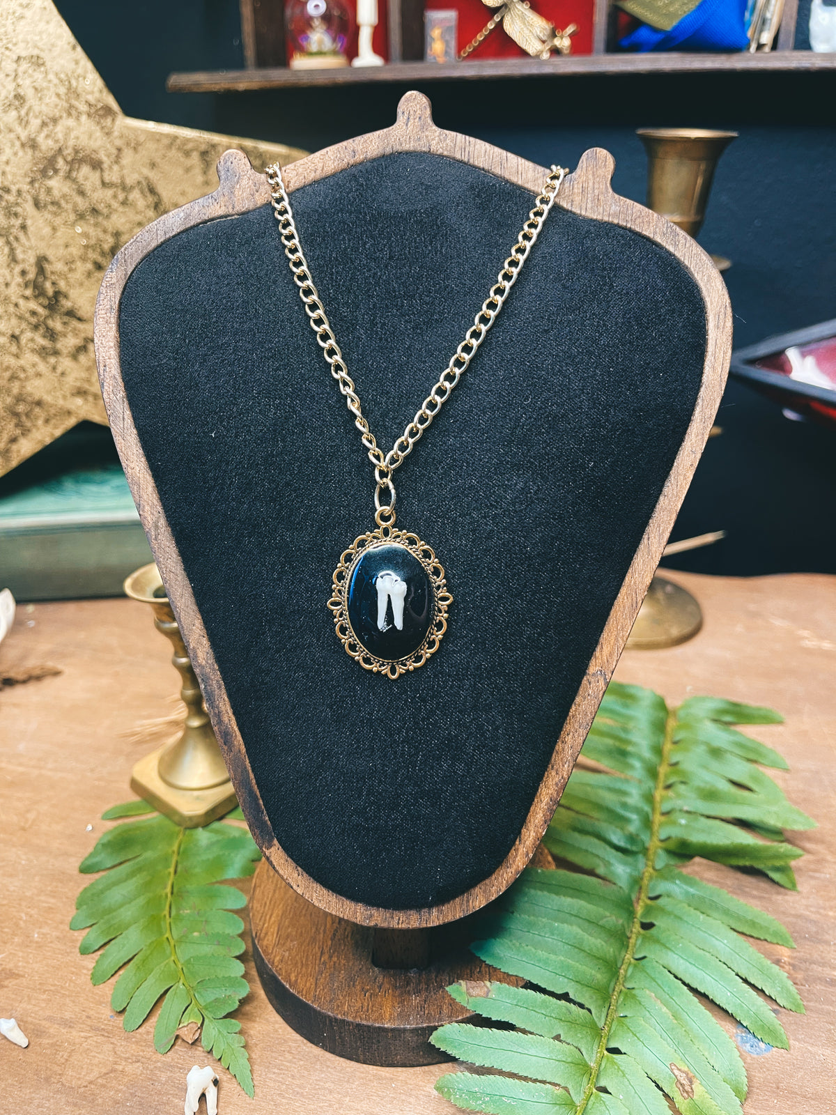 Possum Tooth - Gold - Oddity Necklace