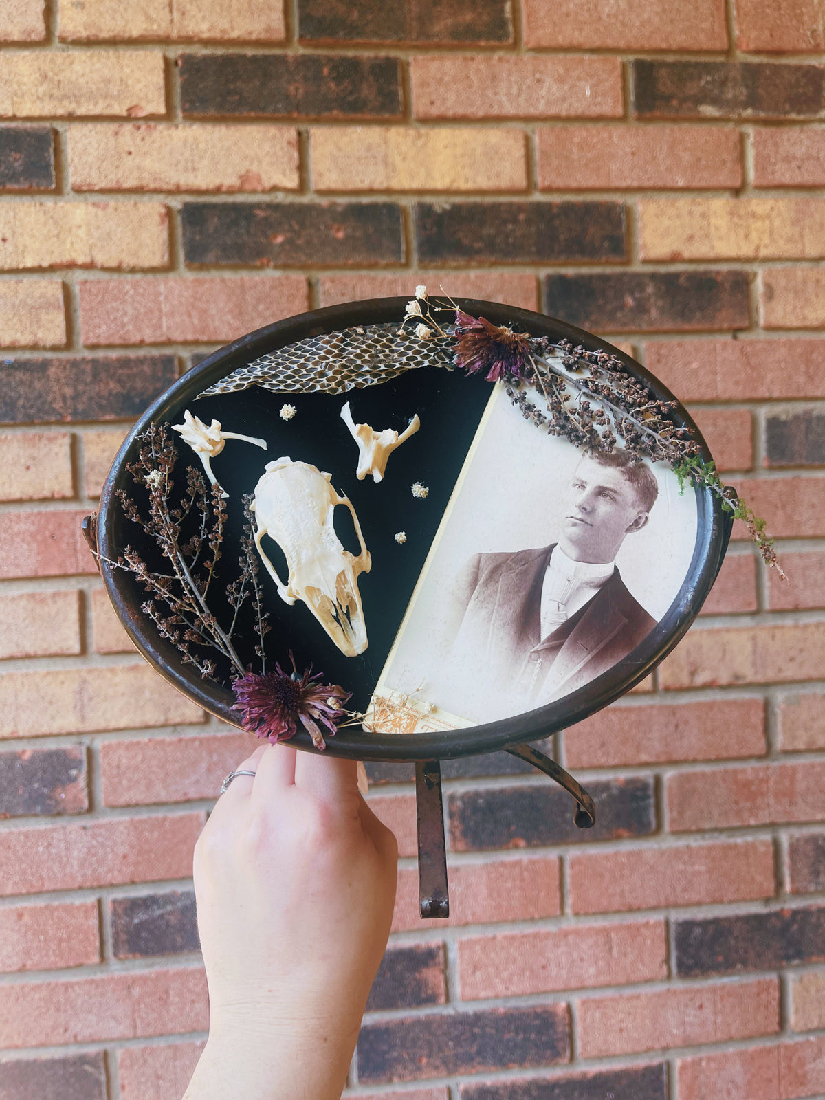 Willoughby Tucker - Oddity Frame