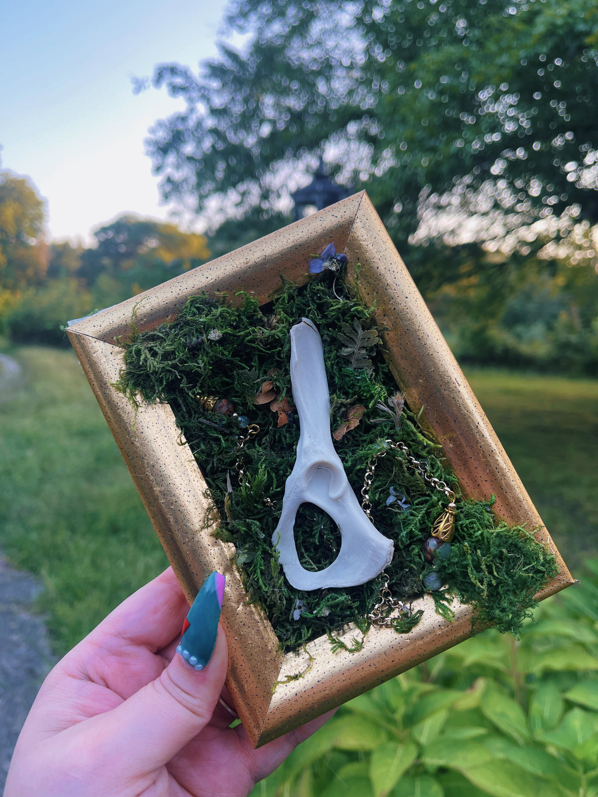 In The Meadow - Oddity Frame