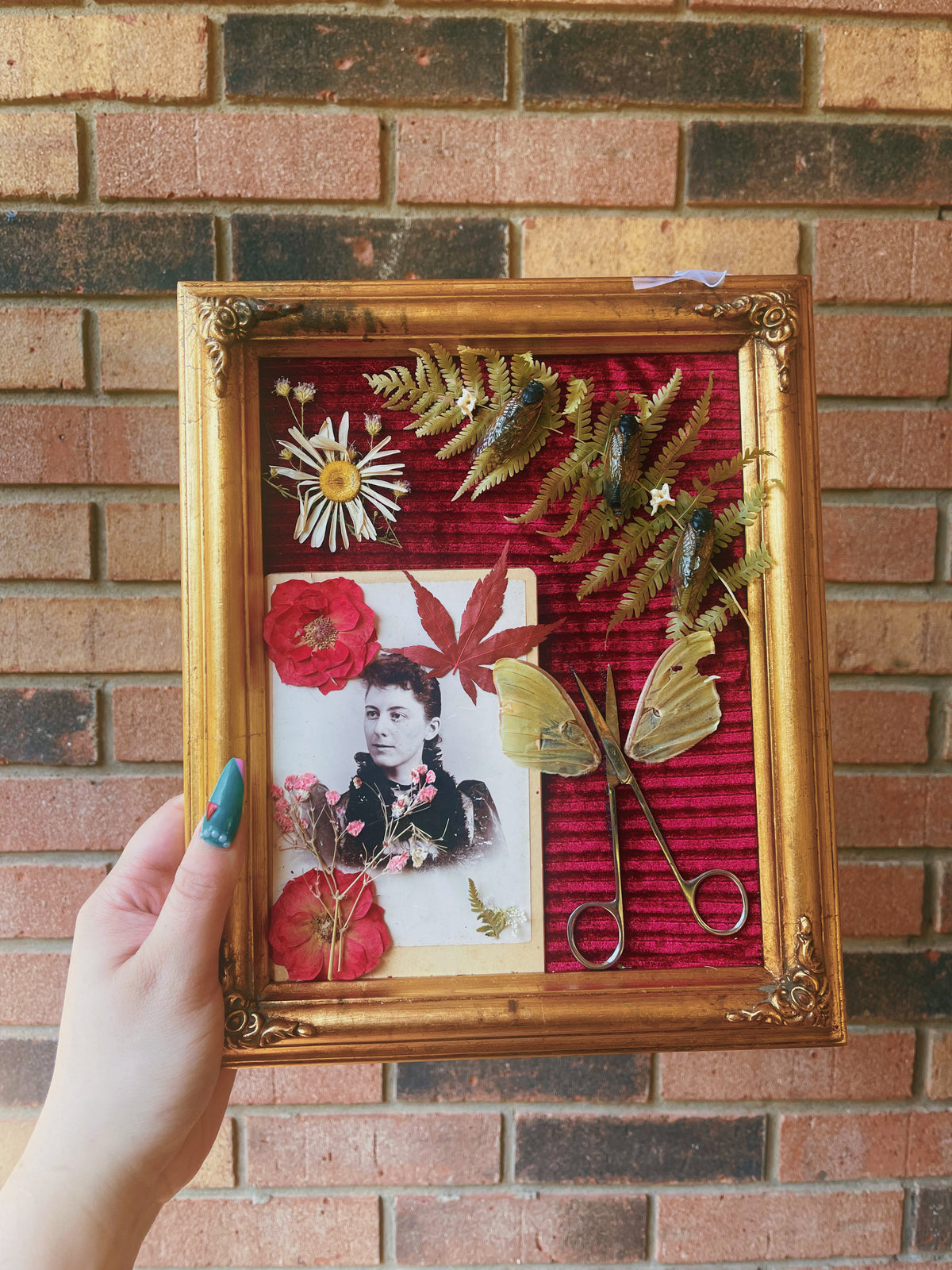 Snip - Oddity Frame