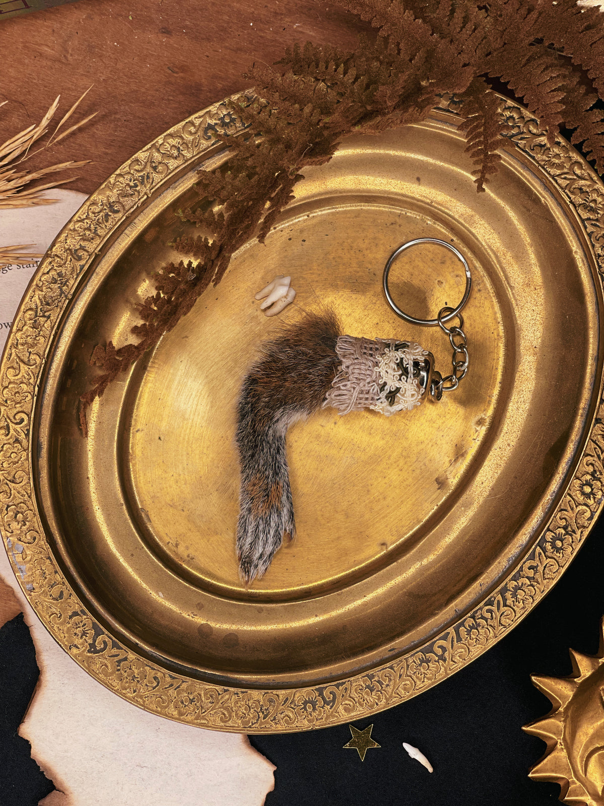 Beige Squirrel - Oddity Paw Keychain