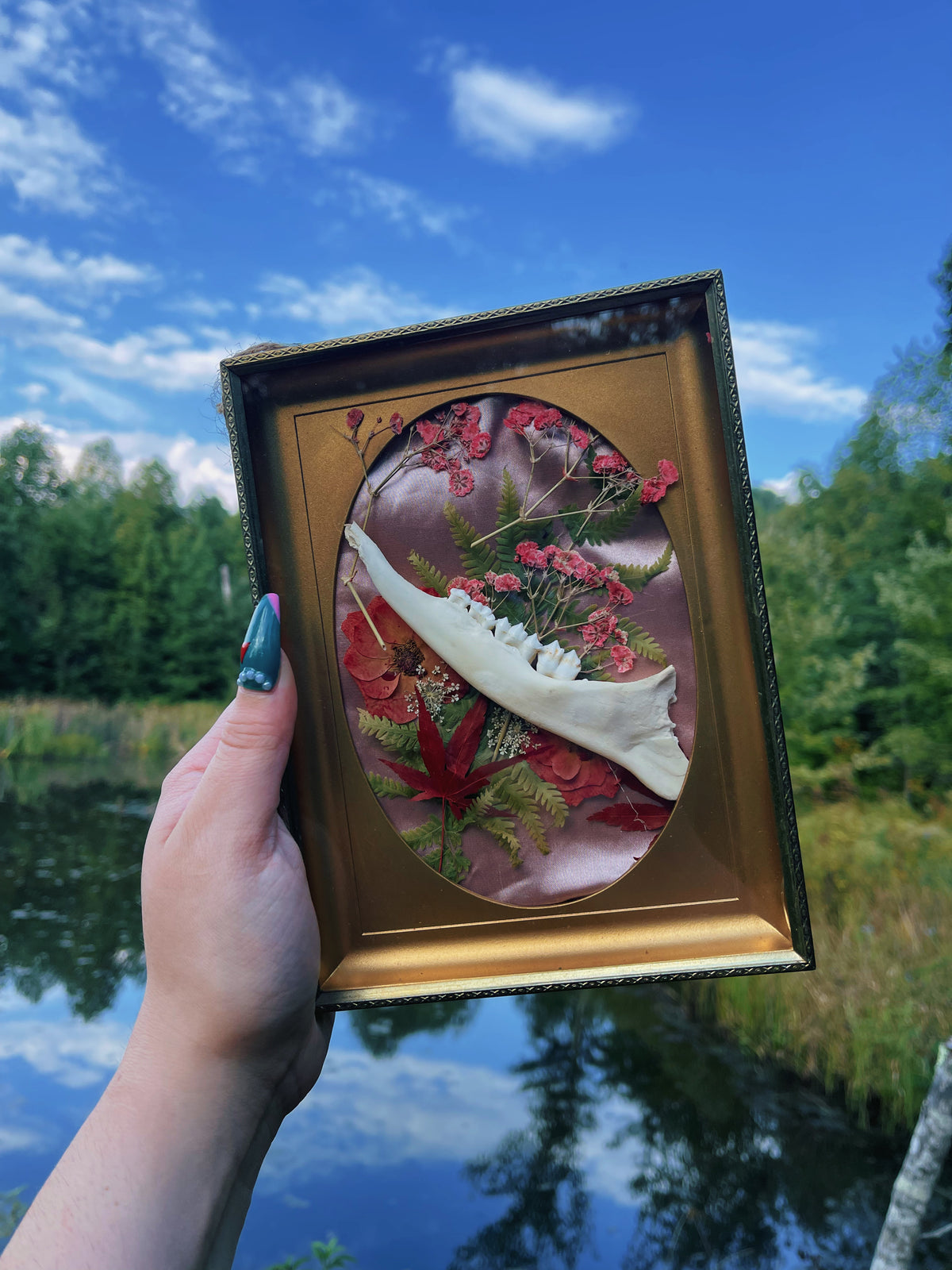 Mandible - Oddity Frame