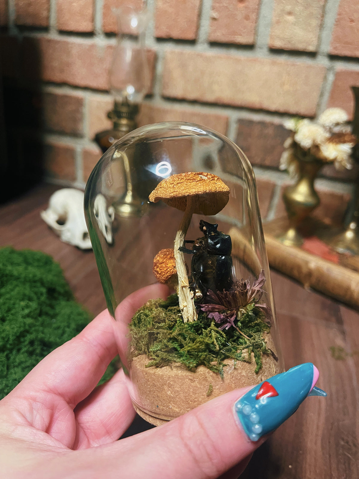 A Dancer - Oddity Dome