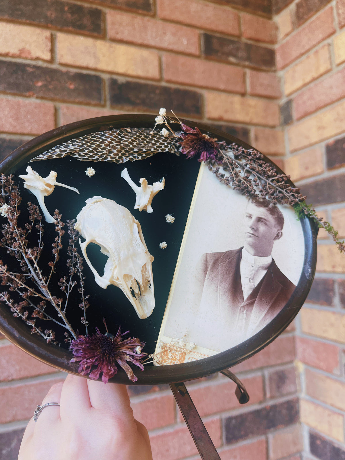 Willoughby Tucker - Oddity Frame
