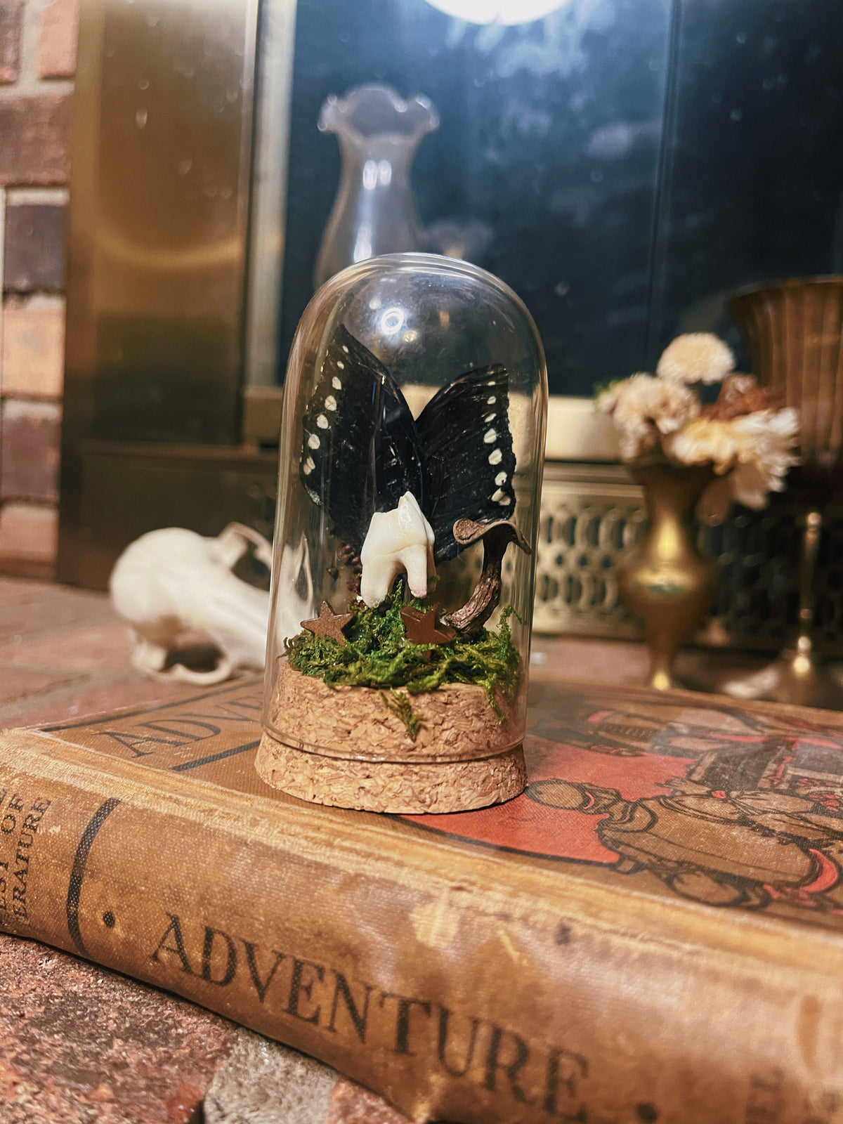 Earth Star Tooth Fairy - Oddity Dome