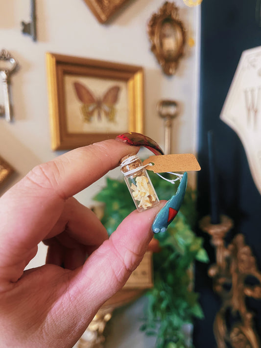 Bones - Mini Oddity Jar