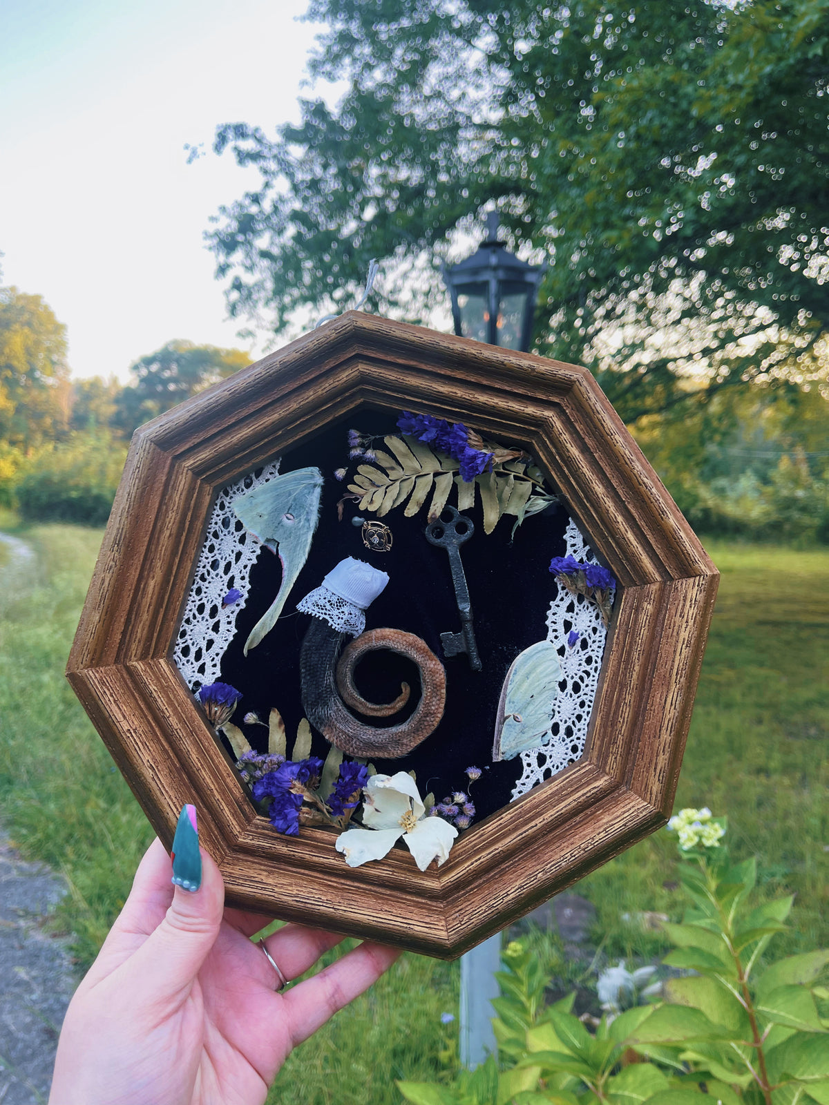 Nature's Key - Oddity Frame