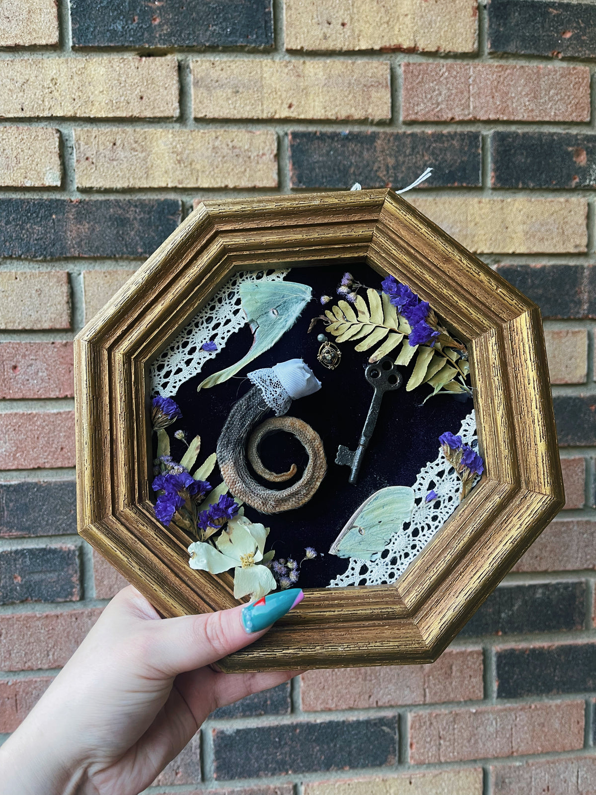 Nature's Key - Oddity Frame