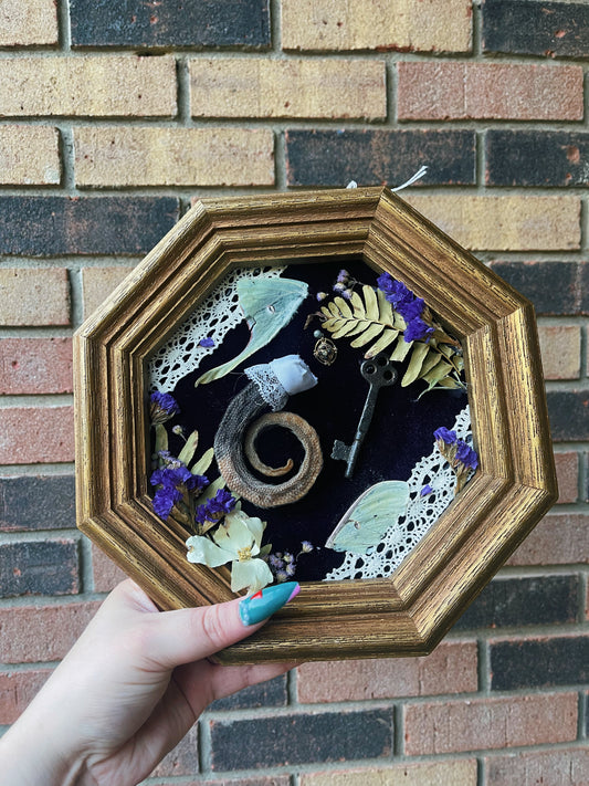Nature's Key - Oddity Frame