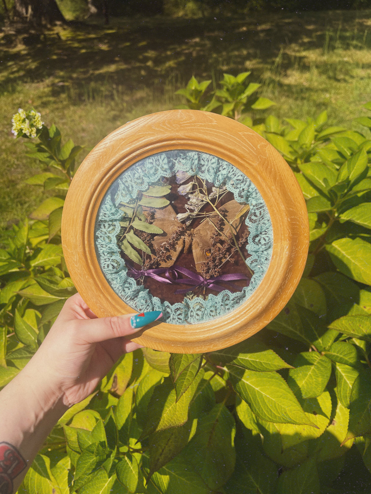 Cottage Moth - Oddity Frame