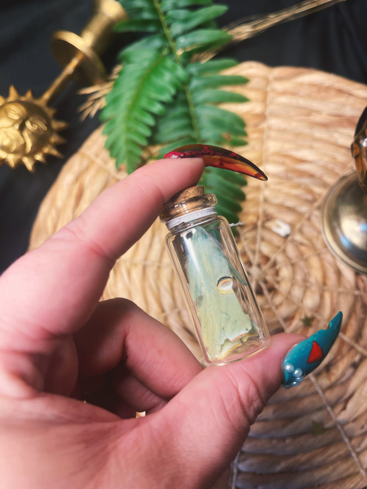 Luna Moth - Large Oddity Jar