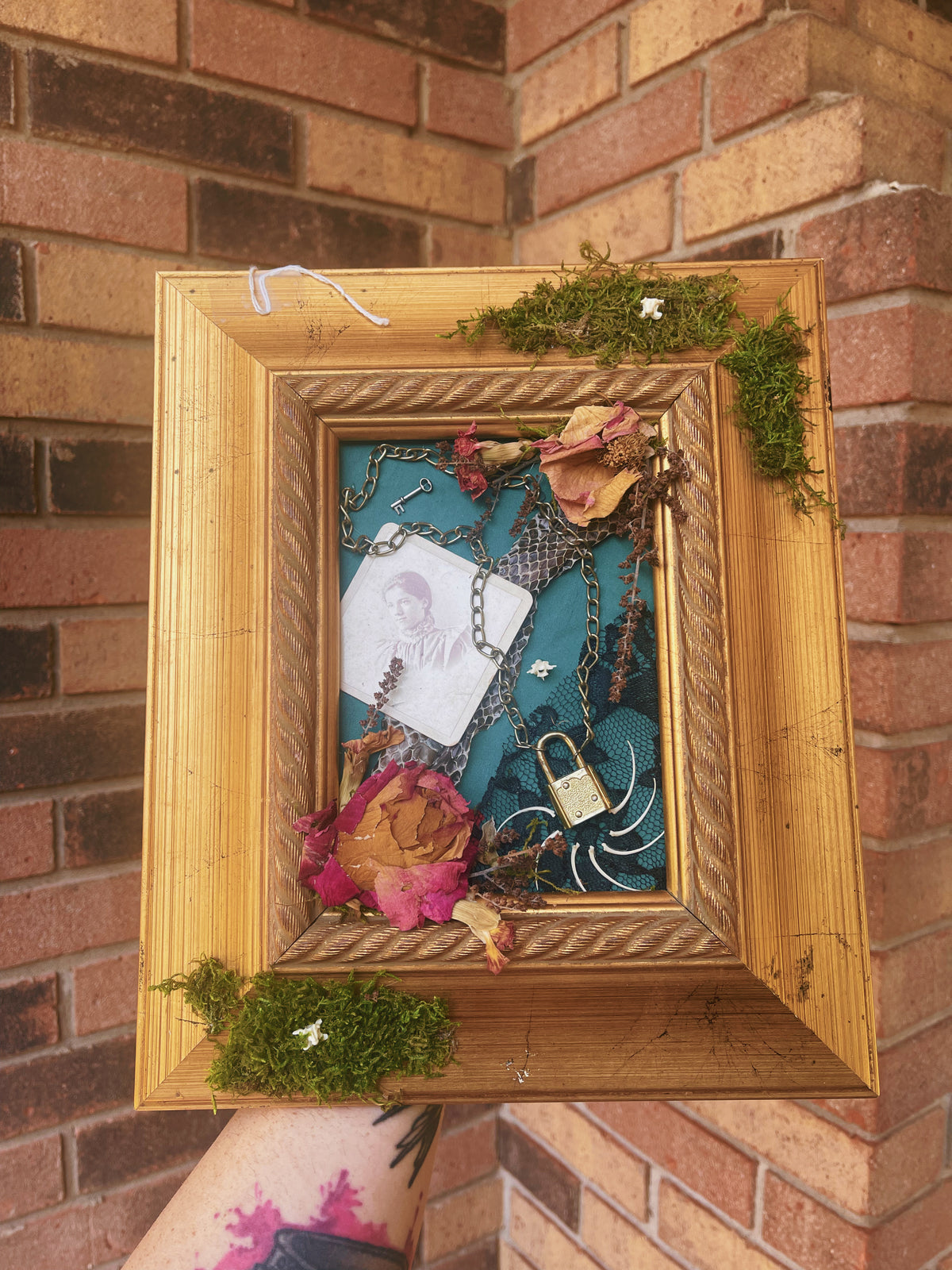 Deadlock - Oddity Frame