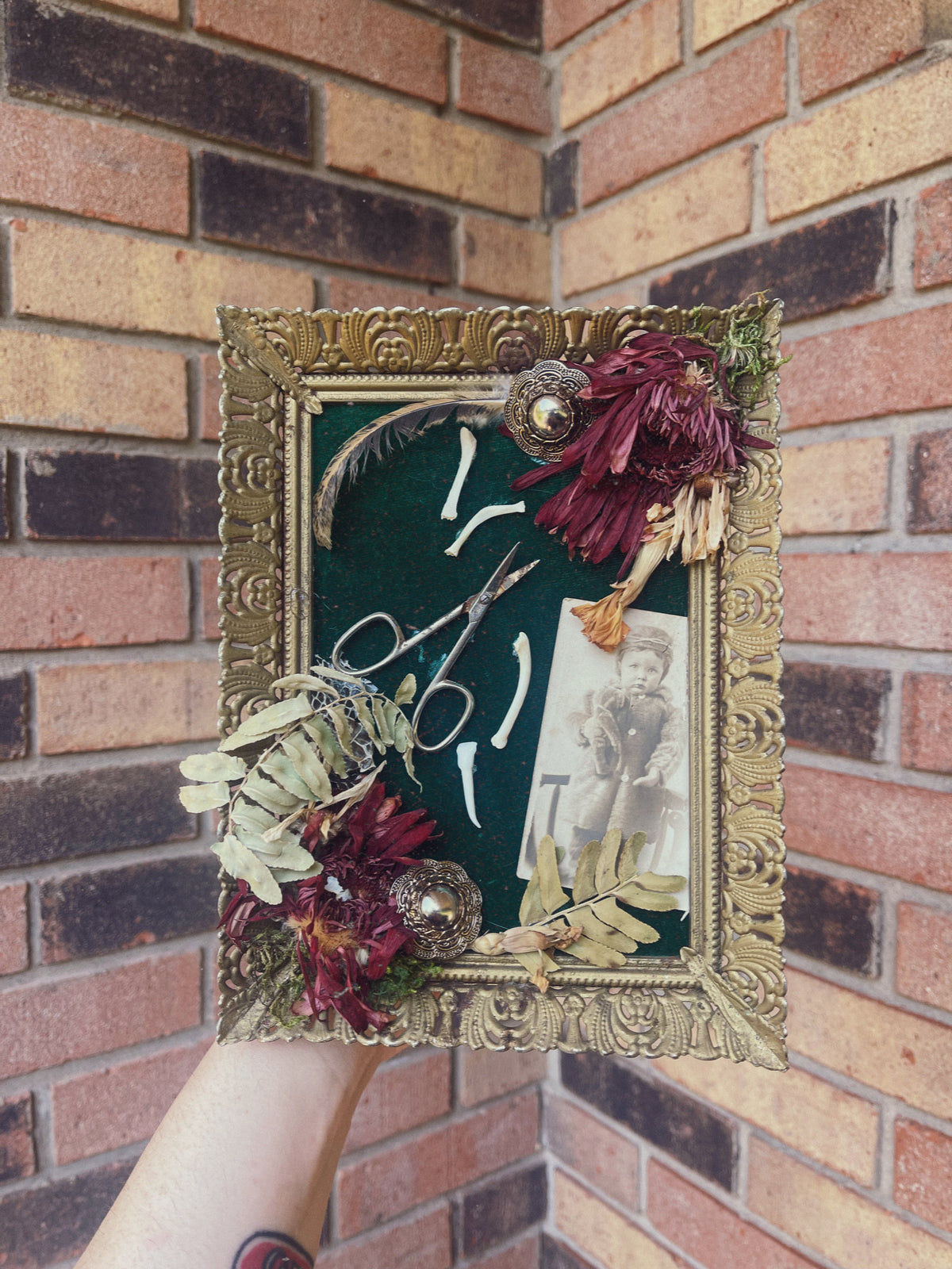 The Apprentice - Oddity Frame
