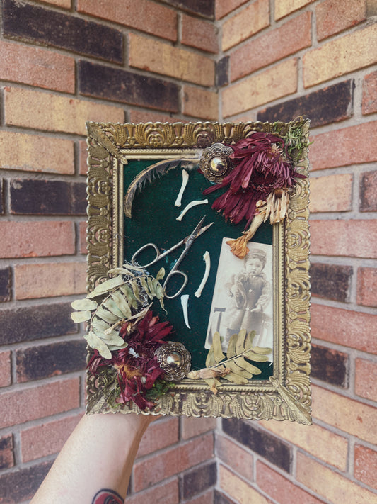 The Apprentice - Oddity Frame
