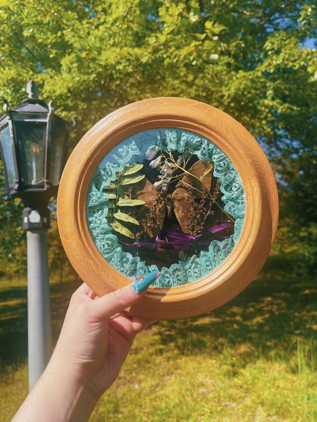 Cottage Moth - Oddity Frame