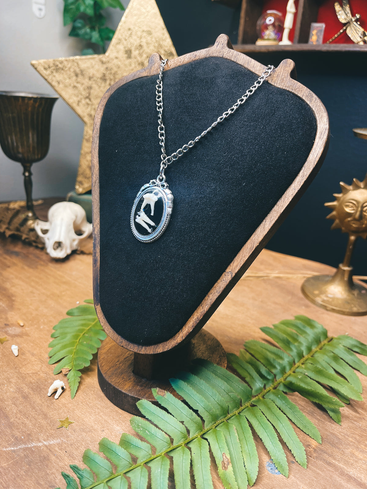 Duo Possum Tooth - Silver - Oddity Necklace