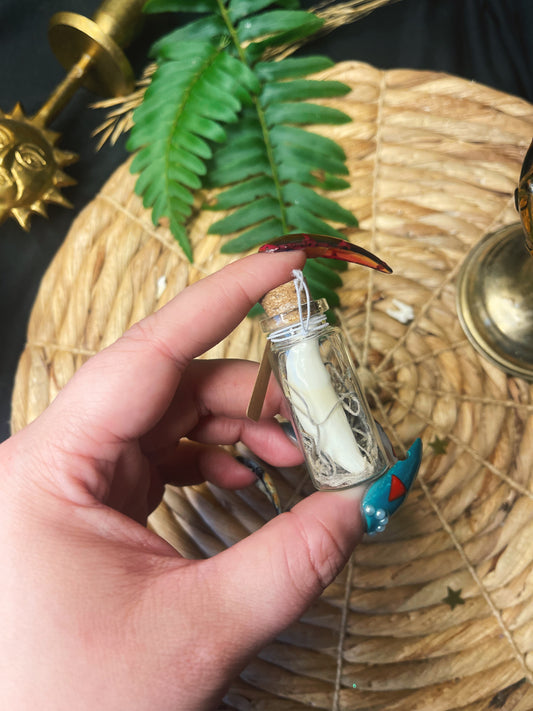 Tooth - Large Oddity Jar