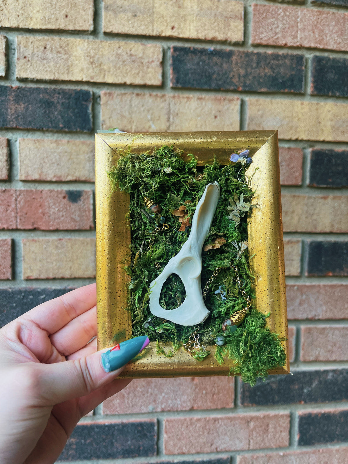 In The Meadow - Oddity Frame