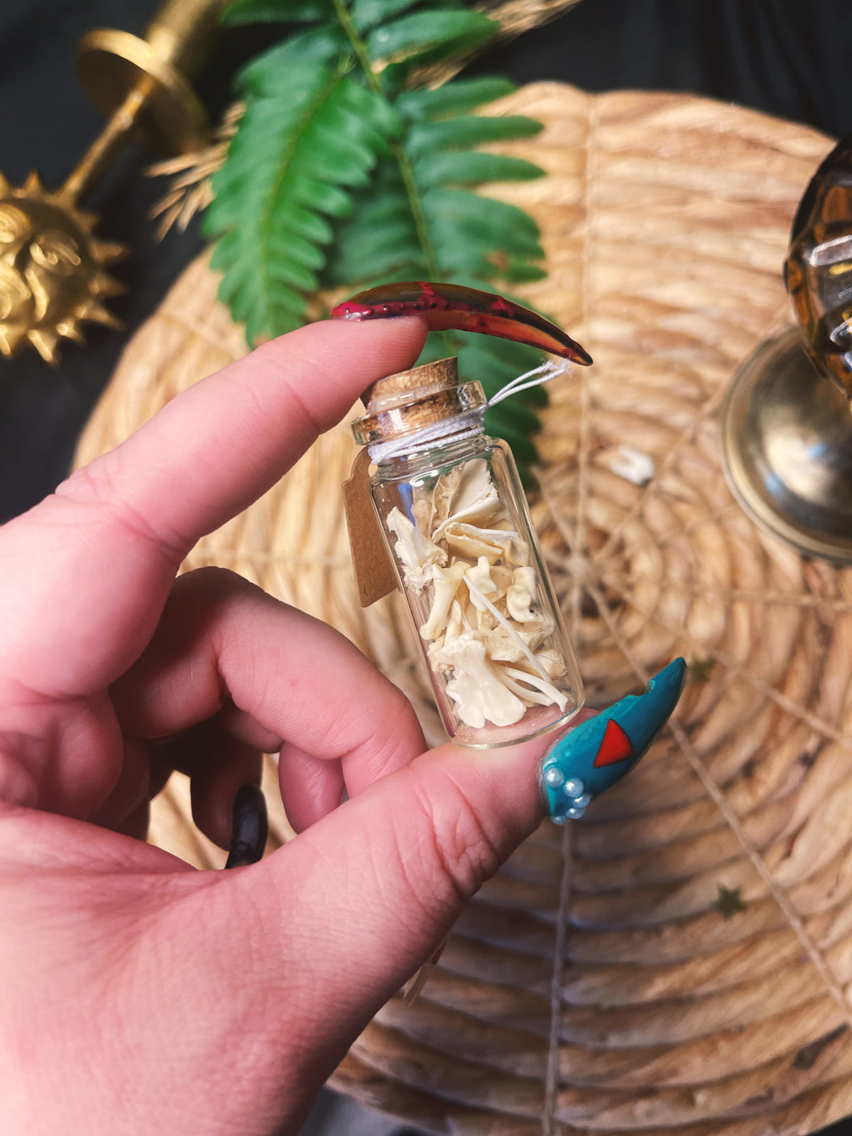 Bone - Large Oddity Jar