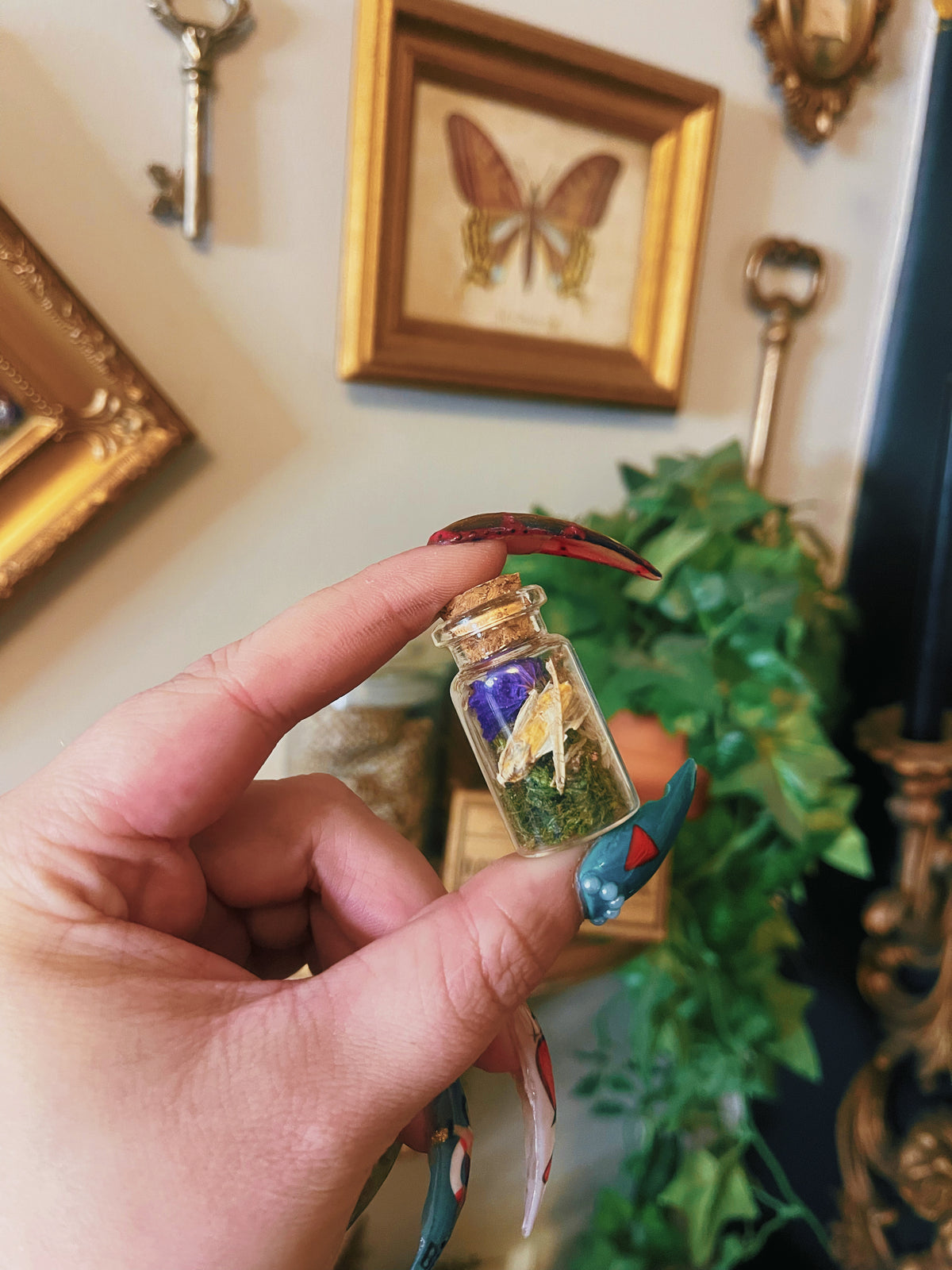 Tan  Moth - Medium Oddity Jar