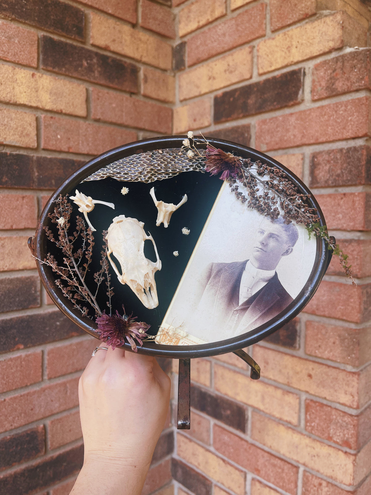 Willoughby Tucker - Oddity Frame
