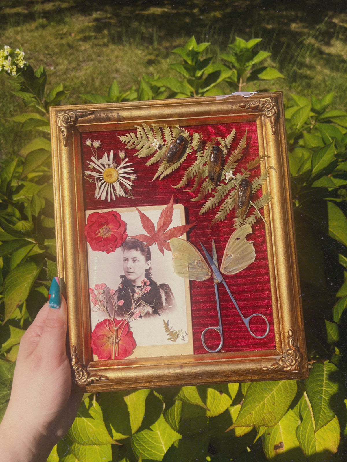Snip - Oddity Frame