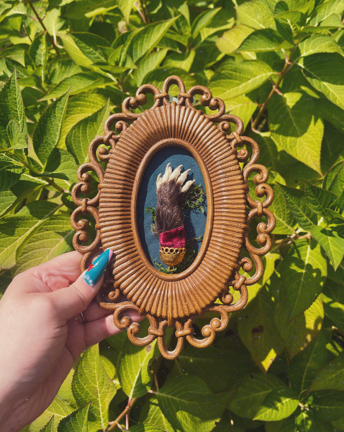 In A Week Possum - Oddity Frame