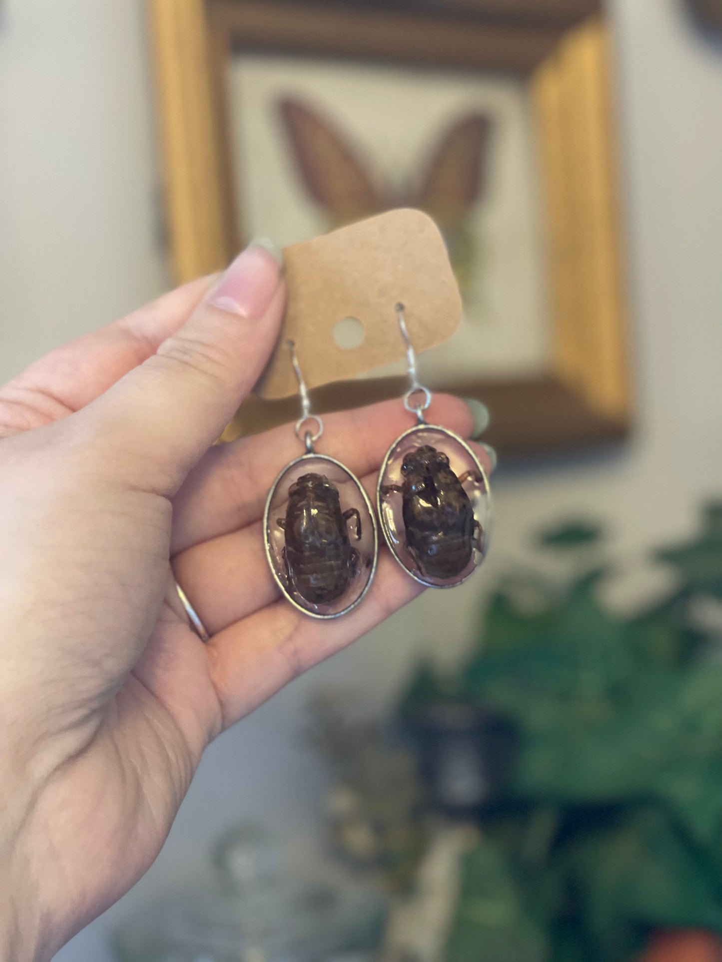 Cicada Shell - Oddity Dangle Earrings