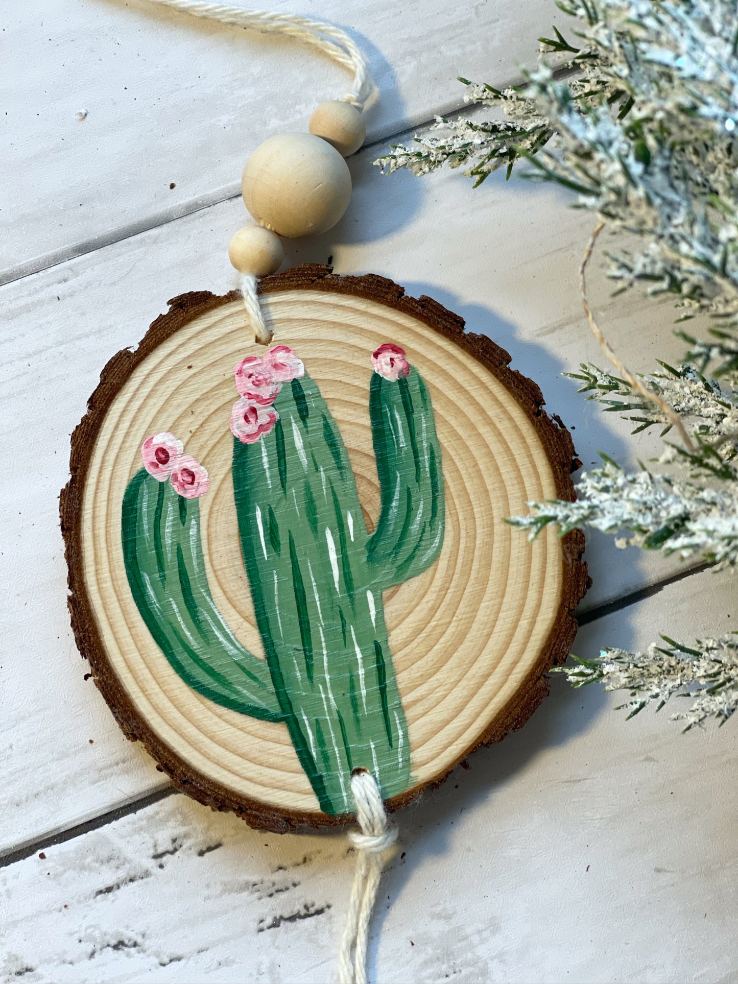 Cactus Ornament Set (PRE-ORDER)